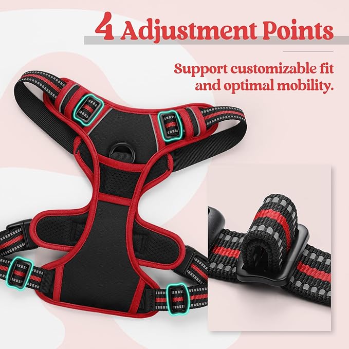 rabbitgoo Dog Harness No Pull with 2 Leash Clips, Adjustable Soft Padded, Reflective Oxford No Choke Pet Vest with Easy Control Handle for Medium Sized Dogs, Black & Red, M