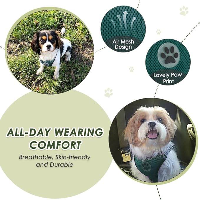 Lukovee Dog Seat Belt for Car, Adjustable Dog Car Harness for Large Medium Small Dogs, Soft Padded & Breathable Mesh Dog Seatbelt with Car Strap and Carabiner((Double Clip 2 in 1),Large)