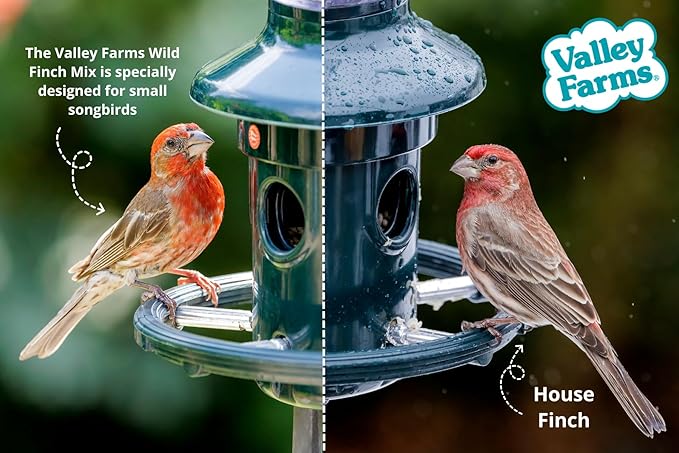 Valley Farms Wild Finch Mix (15 LB) Wild Bird Food for Outside Feeders, Wild Bird Seed with Millet and Chopped Sunflower Hearts for Birds, Finch Seed for Finch Feeders, Sunflower Kernels
