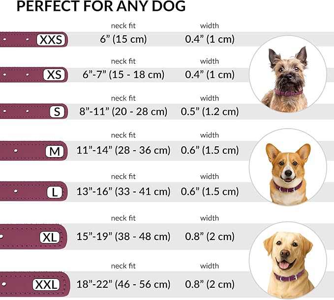 CollarDirect Rolled Leather Dog Collar, Soft Padded Round Puppy Collar, Handmade Genuine Leather Collar Dog Small Large Cat Collars 13 Colors (6-7 Inch, Pink Smooth)