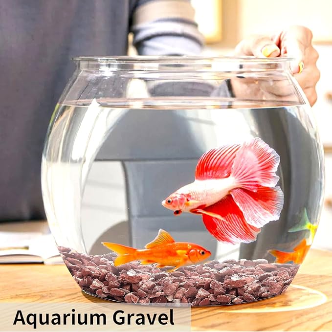 5 lbs Succulent and Cactus Pebbles for Indoor Plants, 3/8 Inch Pea Gravel Decorative Red River Rocks for Plants, Vases, Terrarium, Aquarium, Potted Top Dressing and Outdoor Landscaping Stones