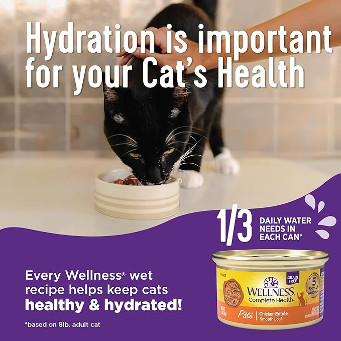 Wellness Complete Health Gravy & Minced Adult Wet Cat Food, Natural, Protein-Rich, Grain Free, 3 Ounce, 12 Pack, (Salmon, Tuna, and Chicken Variety Pack)
