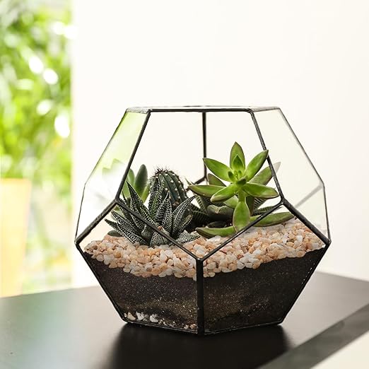 2.5 lbs Coarse Silica Sand for Indoor Plants, 1/5 Inch Natural Decorative Gravel for Vases, Aquariums, Terrarium, Fish Tank, Drainage Rocks for Potted Plants, Bamboo, Succulent, Crafts, Cactus