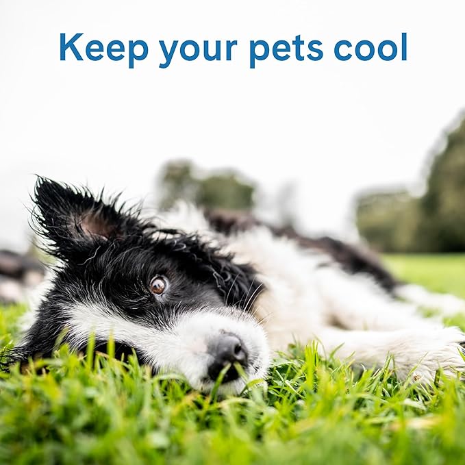 The Green Pet Shop Cool Pet Pad - Large, Disney’s Stitch - Self-Cooling, Pressure Activated Mat for Dogs & Cats from 46-80 lbs - Non-Toxic Gel, No Water Needed
