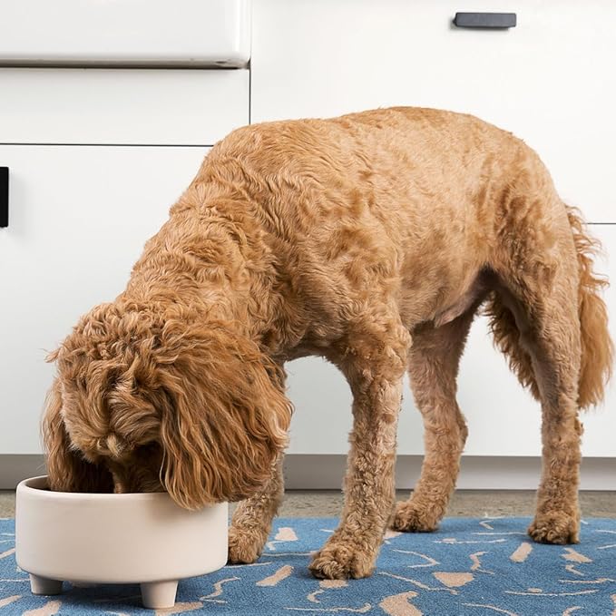 Waggo Uplift Ceramic Dog Bowl for Small Medium and Large Breeds - Heavyweight and Durable Pet Food and Water Dish Crock, Dishwasher Safe, Modern, Elevated Feeder (Buttercream, Large)