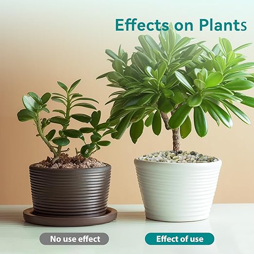 2.5 lbs Jade Pebbles for Indoor Plants, 3/8" Plant Rocks for Pots Indoor, Decorative Small Stones for Plants, Bamboo,Vase, Succulent, Highly Polished Small River Rocks