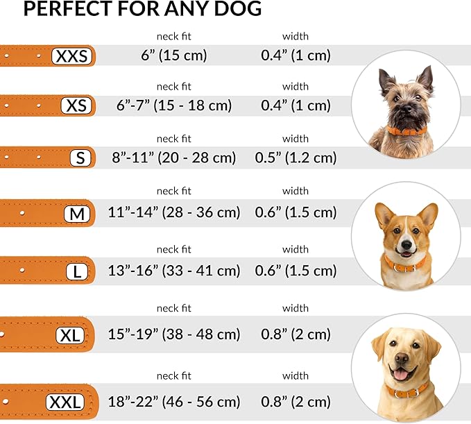 CollarDirect Rolled Leather Dog Collar, Soft Padded Round Puppy Collar, Handmade Genuine Leather Collar Dog Small Large Cat Collars 13 Colors (8-11 Inch, Orange Textured)