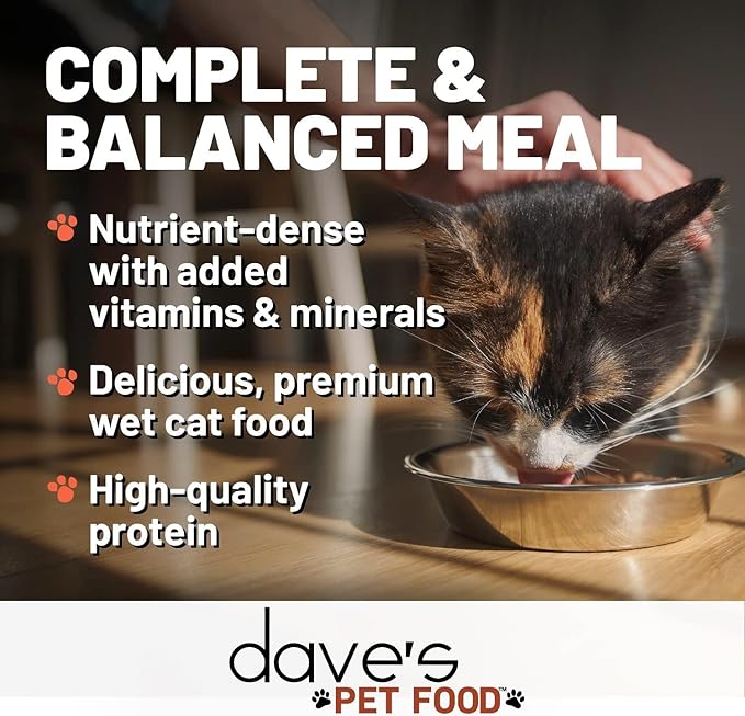 Dave's Pet Food Grain Free Wet Cat Food (Shredded Chicken in Gravy), Made in Canada Naturally Healthy Canned, Added Vitamins & Minerals, Wheat & Gluten-Free, GMO-Free, 5.5oz (24 Pack)