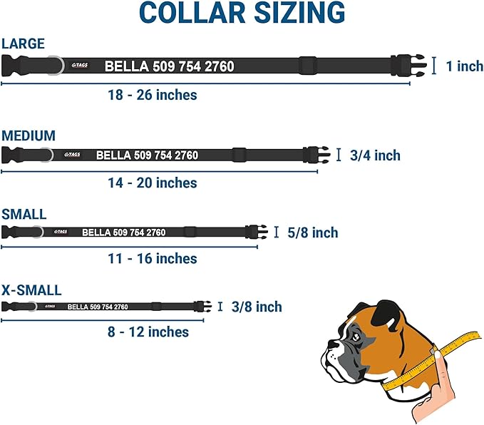 GoTags Reflective Personalized Dog Collar with Nameplate, Adjustable Dog Collar with Custom Engraved Steel Slide On Pet ID Tag, Silent, No Noise Dog Tag for Large Medium or Small (Hunter Green, Small)