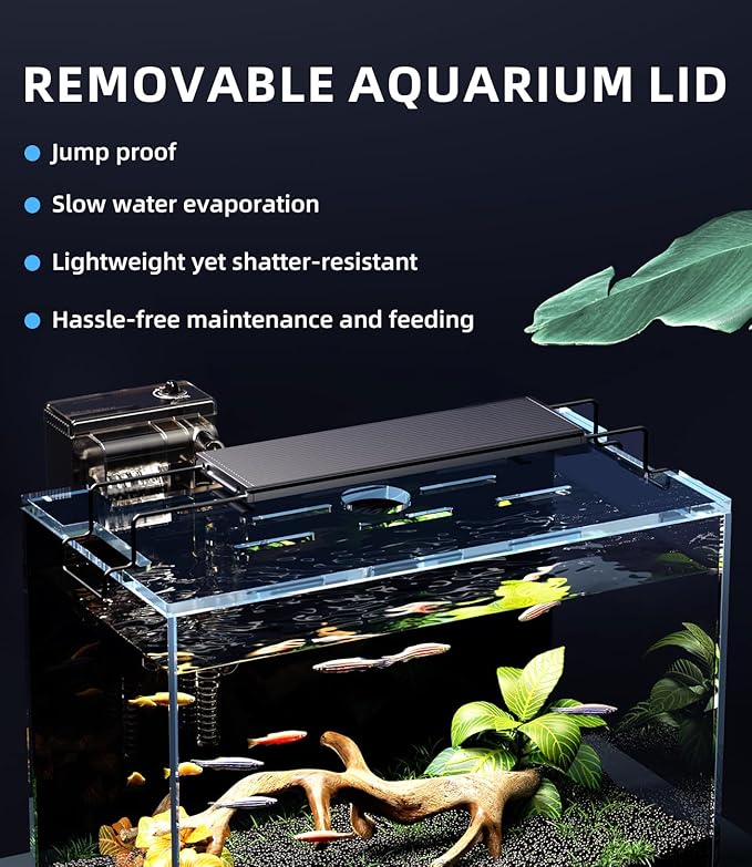 5 Gallon Fish Tank Aquarium Kit with Filter, LED Light with Timer, Siphon Vacuum Cleaner, Lid, Self-Cleaning Glass Rimless Betta Tank