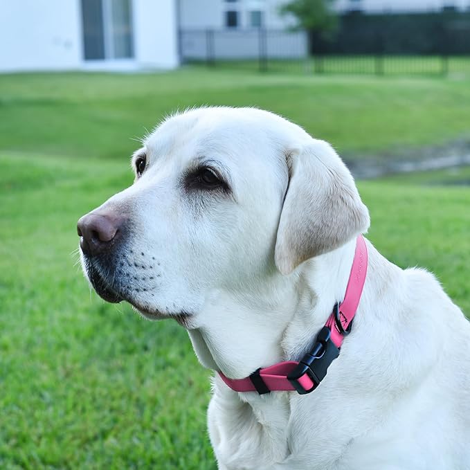 Dogline Biothane Waterproof Dog Collar with Quick Release Buckle Strong Coated Nylon Webbing with Odor- Proof for Easy Care Easy to Clean Fits Small Medium or Large Dogs, Pink 3/4" W 12-19" L
