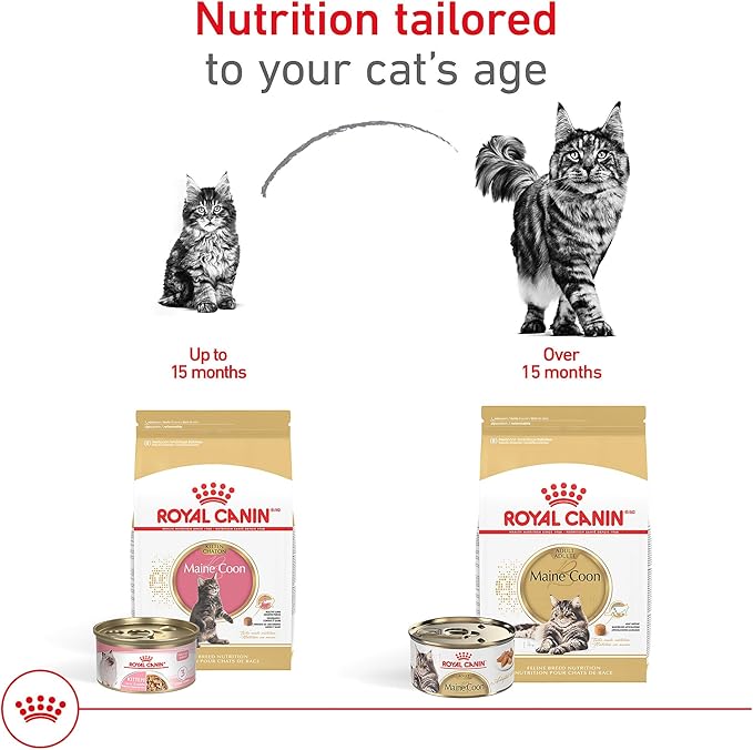 Royal Canin Maine Coon Breed Adult Dry Cat Food, 6 lb bag