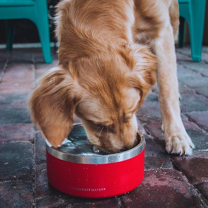 Coldest Dog Bowl - Anti Rust Metal, Non Slip, 3 Layers Insulated Stainless Steel Dog Bowls - Spill Proof & Heavy Duty - Water Bowl for Dogs, Cats & Pets, Dish Washer Safe (100 oz, Candy Red Glitter)