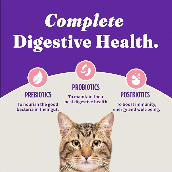 Halo Holistic Kitten Food, Wild Caught Salmon & Whitefish Recipe, Grain Free Dry Cat Food, Complete Digestive Health, 10 lb Bag