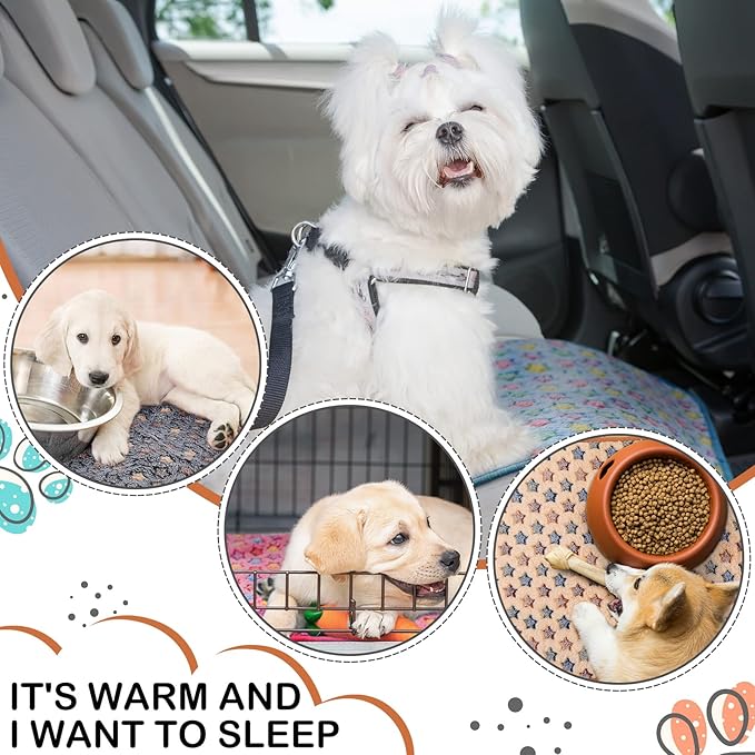 Reginary 4 Pcs Waterproof Guinea Pig Blankets Washable Small Animal Fleece Bedding Absorbent Guinea Pig Cage Liners Reusable Pet Pee Pad Sleep Mat for Hamster Ferret(Star Pattern,28 x 56 Inch)