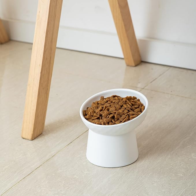 Ceramic Raised Cat Bowls, Elevated Tilted Cat Food and Water Bowls Set, Porcelain Stress Free Pet Feeder Dish for Cats and Small Dogs, Dishwasher and Microwave Safe, Set of 2(White)