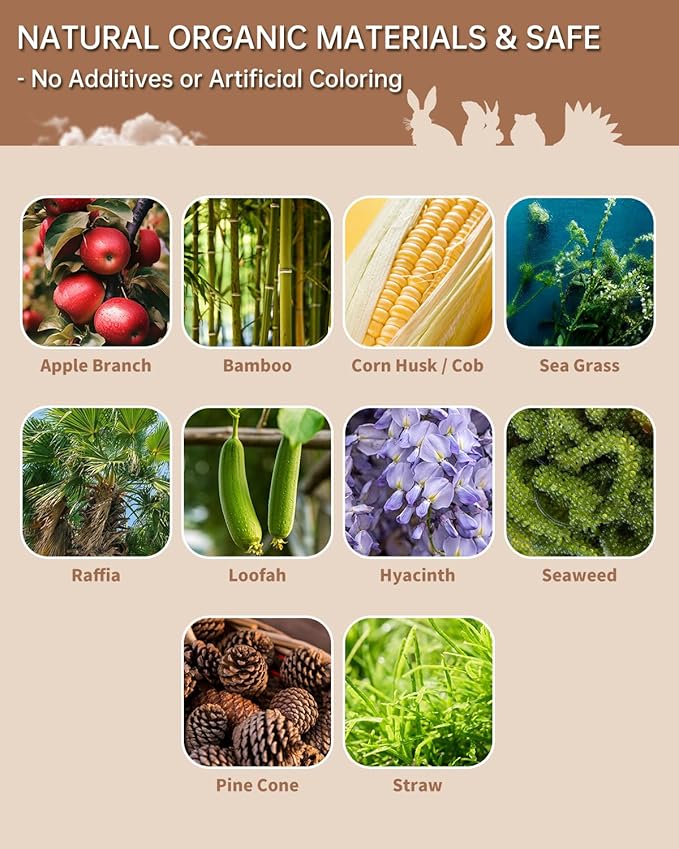 31PCS Rabbit Chew Treat Toys for Teeth Health, Natural Bunny Enrichment Toys for Boredom & Stress Relief, Keep Busy Toys for Guinea Pig Chinchilla Hamster Rat Gerbil Degu Indoor Outdoor