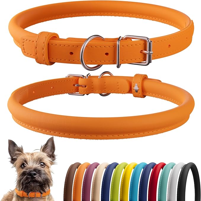 CollarDirect Rolled Leather Dog Collar, Soft Padded Round Puppy Collar, Handmade Genuine Leather Collar Dog Small Large Cat Collars 13 Colors (8-11 Inch, Orange Smooth)