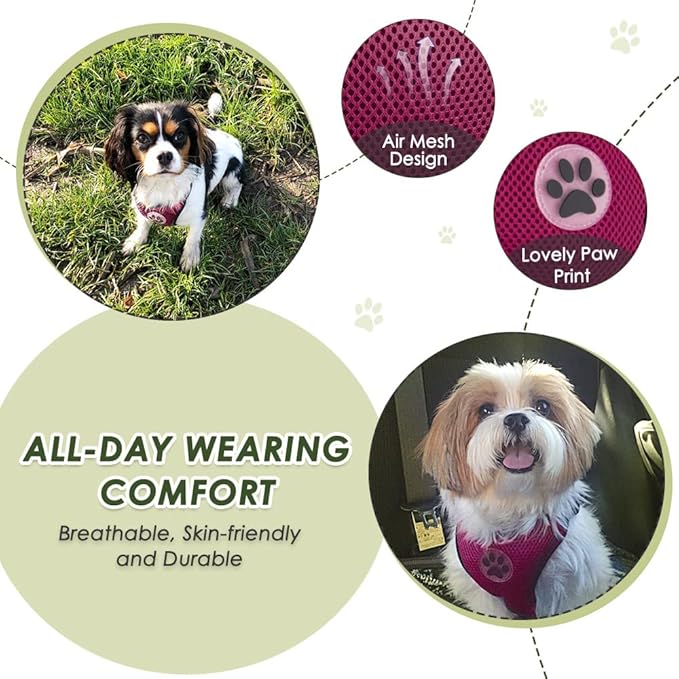 Lukovee Dog Seat Belt for Car, Adjustable Dog Car Harness for Large Medium Small Dogs, Soft Padded & Breathable Mesh Dog Seatbelt with Car Strap and Carabiner(Rose Double Clip,XXX-Small)