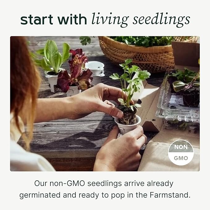 Farmstand Starter Kit + 30 Seedling Credits | Family Hydroponic Growing System Kit | Self-Watering Outdoor Vertical Garden Planter Tower | 5ft 5in | Made in USA