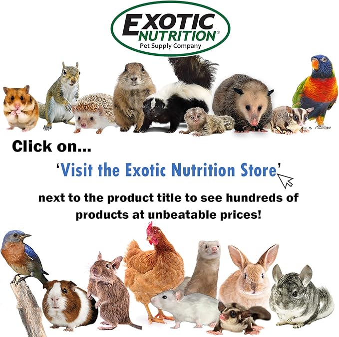 Exotic Nutrition Degu Diet (18lb) - Nutritionally Complete Healthy Pellet Diet with Whole Oats - for Domesticated Pet Degus