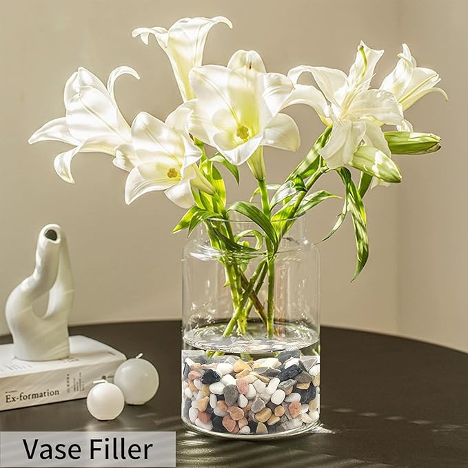 5 lbs Succulent and Cactus Pebbles for Indoor Plants, 3/8 Inch Pea Gravel Decorative River Rocks for Plants, Vases, Terrarium, Aquarium, Potted Top Dressing and Outdoor Landscaping Stones