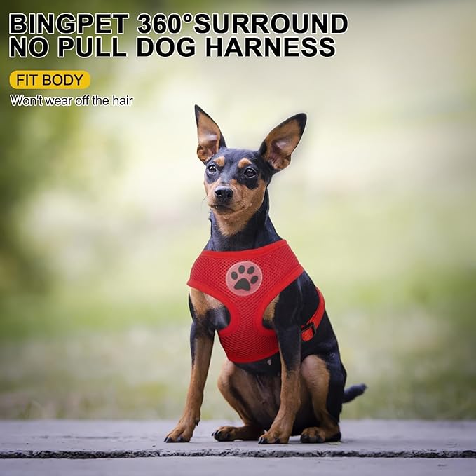 BINGPET No Pull Dog Harness - All Weather Mesh Step-in Vest for Small Dogs, Breathable Mesh Puppy & Cat Harness, Red, X-Small