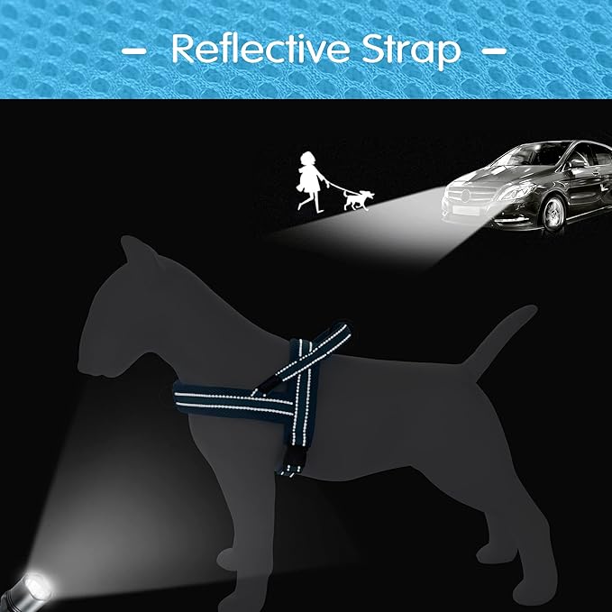 Didog No Pull Dog Harness with Soft Mesh Padded,Reflective & Quick Fit Light Weight Dog Strap Vest Harness,Easy for Walking Training (L:Chest 26-32", Mesh-Blue)