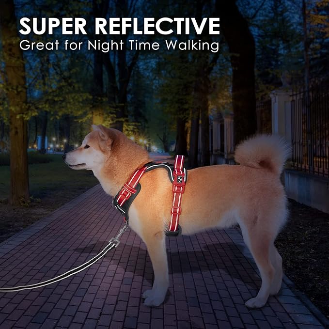 PHOEPET No Pull Dog Harness, Unique Colors Reflective Adjustable Dog Vest, with Soft Training Handle Metal Clips for Small Medium Large Dogs (Black Base & Red Straps,M)