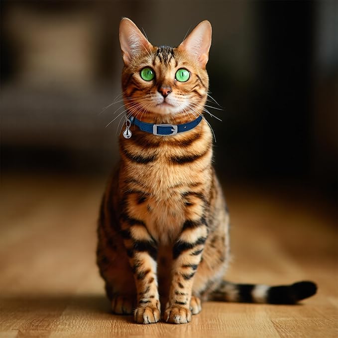 OOPSDOGGY Rolled Leather Cat Collar with Bell, Reflective Kitten Collars with Buckle Include Safety Elastic Strap - Adjustable Small Pet Collars for Boy Girl Cats (Blue)