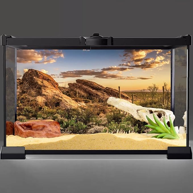 AWERT Reptile Habitat Background Blue Sky Oasis Cactus Sun and Desert Terrarium Background 24x12 inches Durable Polyester Background