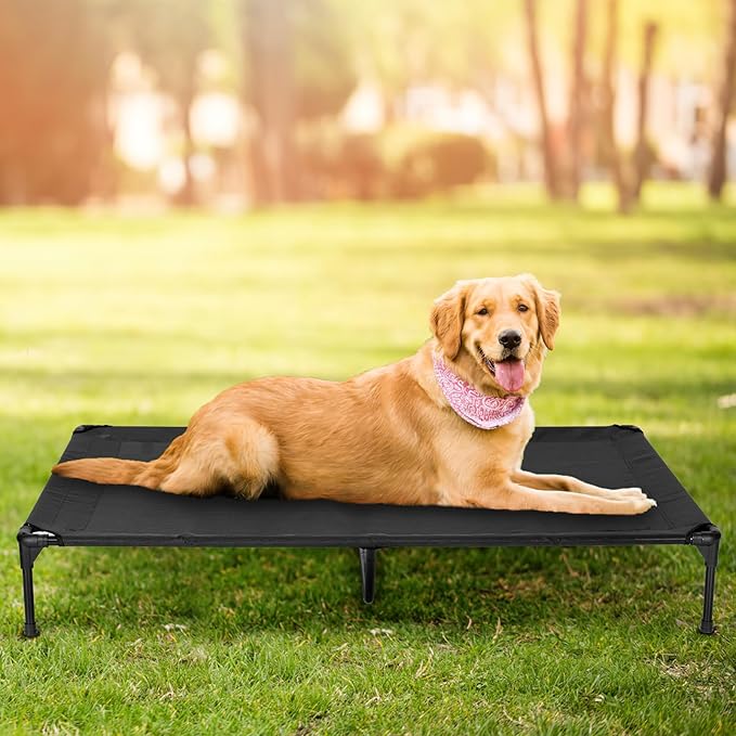 Elevated Dog Bed for Outdoor, XL Raised Dog Cot with Washable Mesh, Cooling Pet Cot Chew Proof for Outside Camping, 49"x33" Black