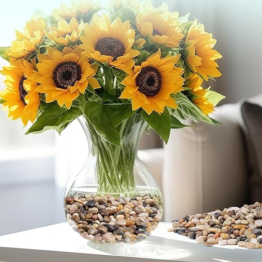 2.5 lbs Pebbles for Indoor Plants, Vase, Succulent, 3/8" Gravel for Plants, Pots Indoor, Bamboo Rocks for Bamboo Plants, Decorative Small River Rock, Highly Polished