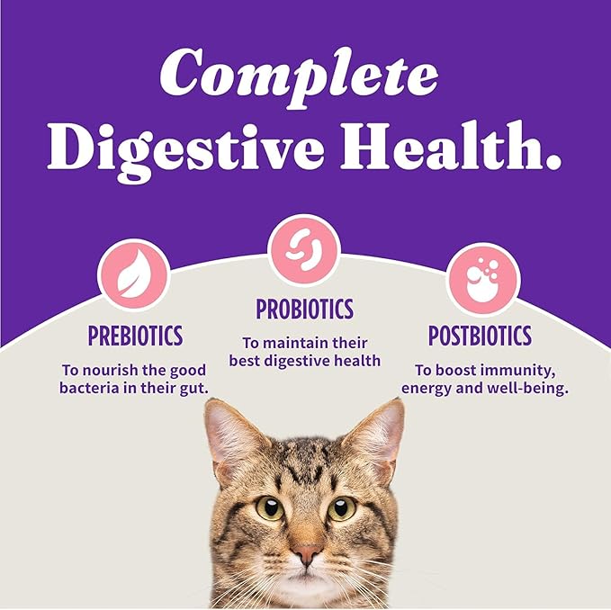 Halo Holistic Cat Food Wild Caught Salmon & Whitefish Formula, Grain Free Dry Cat Food, For Healthy Weight Support, Kibble for Indoor Cats, 10 lb Bag