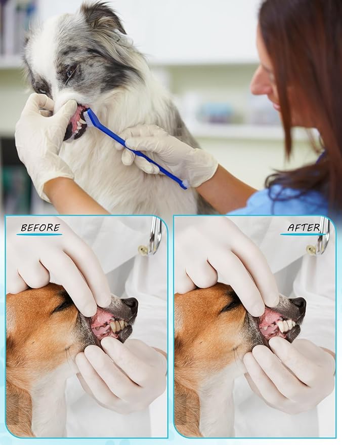 200 Pcs Dog Toothbrush, Pet Double Sided Brushing Kit Long Handle Soft Bristles Dogs Tooth Brush for Small to Large Dog, Cat, Puppy & Kitten, 10 Colors