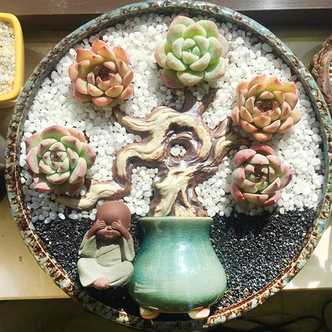 TOYPOPOR Mini White Rocks Stone Decorative Pebbles Vase Fillers Succulents Cactus Bonsai DIY Plant Rock Garden Outdoor Indoor Gravel for Aquarium, Terrarium, Fairy Gardening, Top Dressing 6lbs