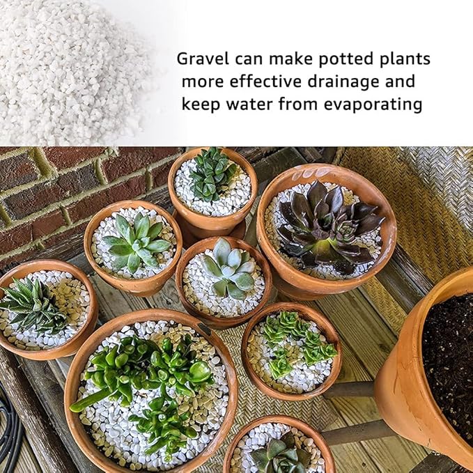 3lb White Cactus Pea Gravel Rocks,1/4 Inch Pebbles for Indoor Plants, Natural Succulent Rock and River Rocks Decorative for Aquariums, Vases, Outdoor Gardening, Top Dressing for Potted Plants