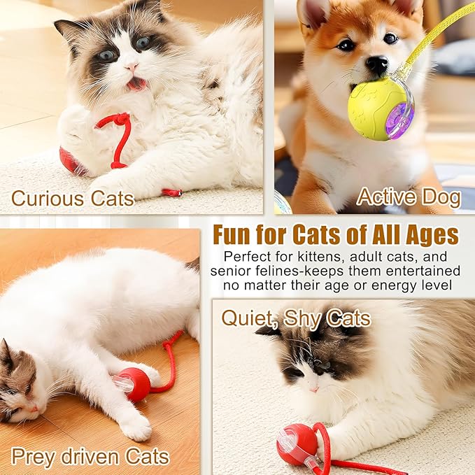 Interactive Cat Toys for Indoor Cats, 2025 New Interactive Cat Toys, Intelligent Automatic Rolling Pet Ball, Automatic Obstacle Avoidance Cat Toy Ball with Rope, Three Modes Adjustment (gray)
