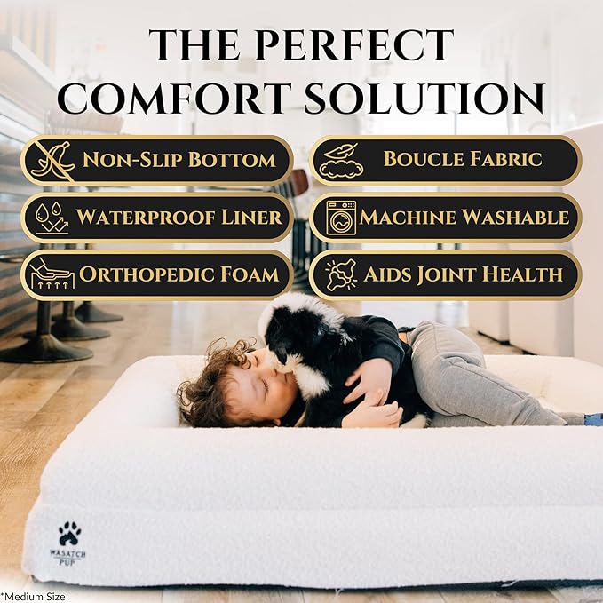 Luxury Boucle Fabric Orthopedic Dog Bed with Memory Foam | Breathable Comfort and Washable Dog Couch Bed with Waterproof Liner & Cover | Ideal Pet Beds for Small Dogs - Grey (29"x23"x6")