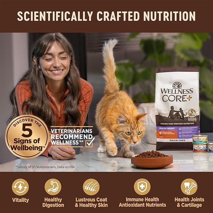 Wellness CORE+ Adult Dry Cat Food for Indoor and Outdoor Cats, Wholesome Grains, Natural, Digestive Health Salmon & Rice (5 Pound Bag)