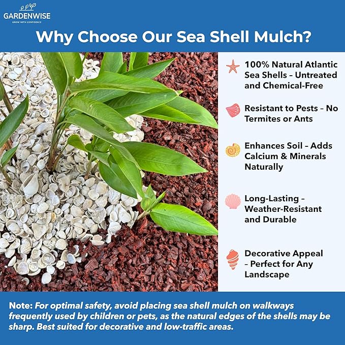 Natural Organic Sea Shell Mulch for Gardens and Landscaping – Decorative and Nutrient-Rich, 0.5–3-Inch Shells, Perfect for Indoor and Outdoor Use(1 CF - 28 L - 30 QTS)