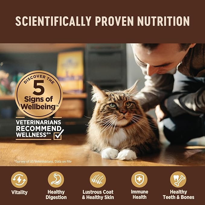 Wellness CORE+ Indoor Pate Adult Wet Cat Food, Natural, Protein-Rich, Grain Free, 5.5 Ounce, 24 Pack (Chicken & Chicken Liver)