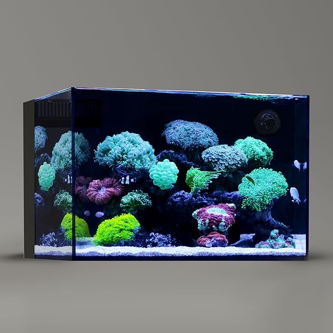 Landen 60P 26.23 Gallon Ultra Clear All Glass Rimless Low Iron Aquarium Tank with Rear Filtration Chamber for Salt and Fresh (Return Pump Included) 23.6Wx17.7Dx15.8H in(60x45x40cm) 8mm Thickness