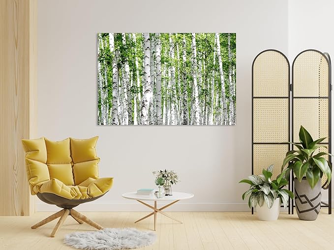 Nature Wall Art Prints - Ocean Forest Mountain Lake Canvas Landscapes - Small to Extra Large Living Room Bedroom Kitchen Bathroom Décor (Green Brich Trees, 24L" x 36W")