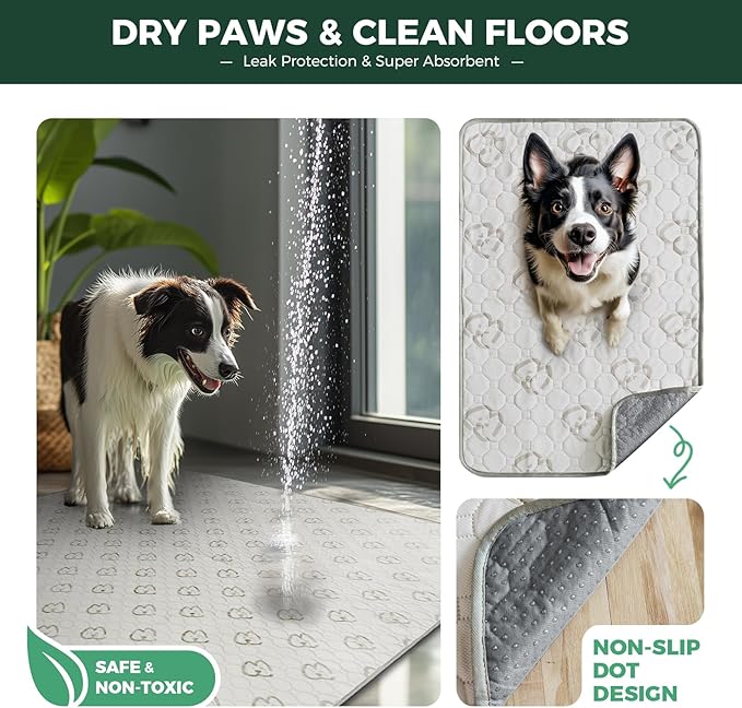 FXW Washable Pee Pads for Dogs, Puppy Pads with Super Absorbent, Specifically Designed for Potty Training, 39" Square, Khaki, 1 Pack