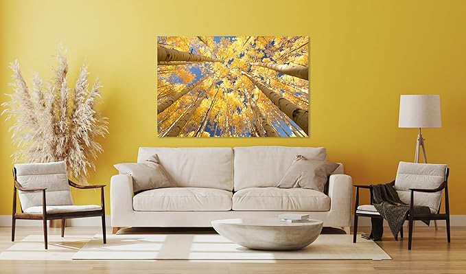 Nature Wall Art Prints - Ocean Forest Mountain Lake Canvas Landscapes - Small to Extra Large Living Room Bedroom Kitchen Bathroom Décor (Reaching for the Sky, 20L" x 30W")