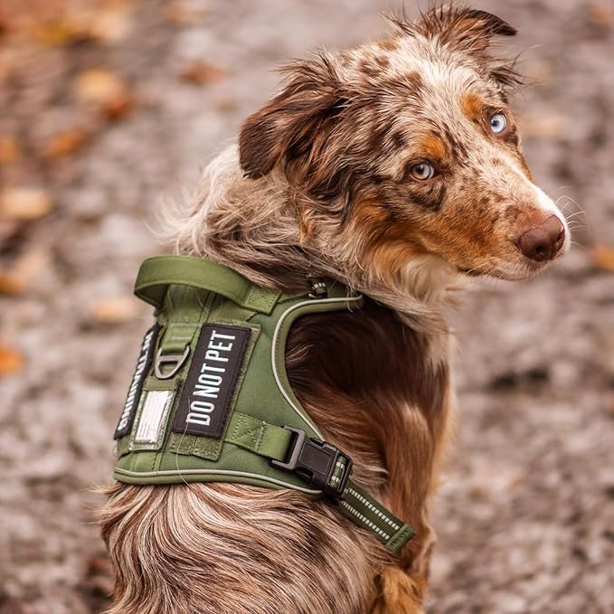 rabbitgoo Dog Harness for Large Dogs No Pull, Tactical Service Pet Vest with Molle and Control Handle, Adjustable and Reflective Military Harness for Easy Walking and Training, Blue, XL