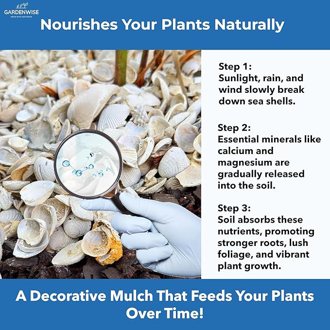 Natural Organic Sea Shell Mulch for Gardens and Landscaping – Decorative and Nutrient-Rich, 0.5–3-Inch Shells, Perfect for Indoor and Outdoor Use(1 CF - 28 L - 30 QTS)