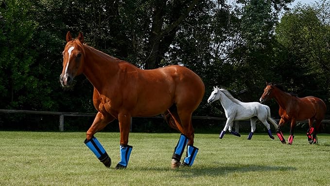 Warrior Fly Boots for Horses - Breathable Mesh Horse Boots for Fly Protection & Leg Comfort - Set of 4 (The Warrior, Neon Pink)