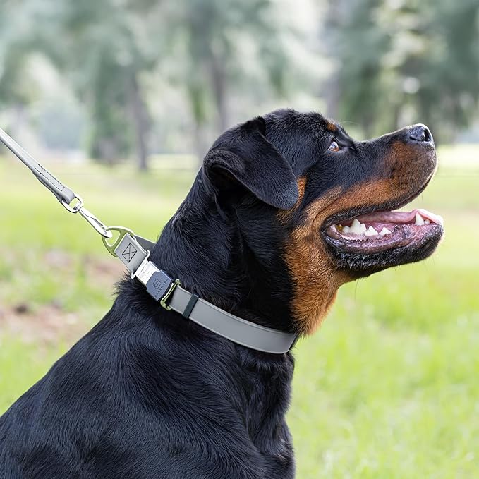 Dogline Biothane Waterproof Dog Collar with Herm Sprenger Stainless Steel Quick Release Buckle – Heavy Duty Tactical Durable Collar for Dogs – Comfortable and Safe Pet Collar, W 1" L 15-25", Gray
